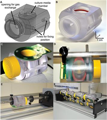 Multiple Single-Unit Long-Term Tracking on Organotypic Hippocampal Slices Using High-Density Microelectrode Arrays